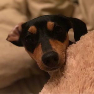 Meet your Posher, Katelyn